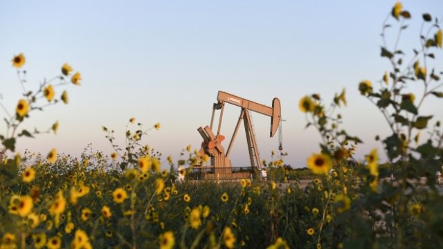 <p>
	<em>Снимка: Архив Ройтерс</em></p>
