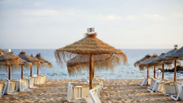 <p>
	<em>Снимка: Pixabay</em></p>
