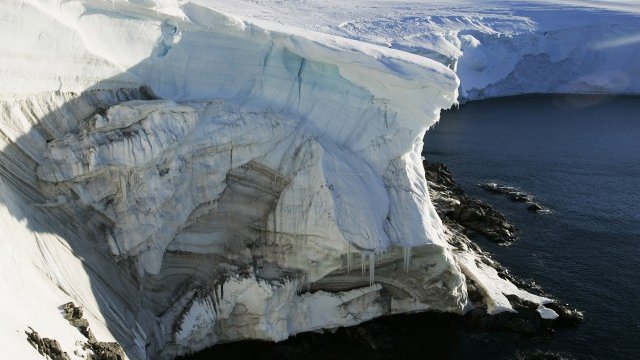 <p>
	Снимка: <em>Архив Ройтерс</em></p>
