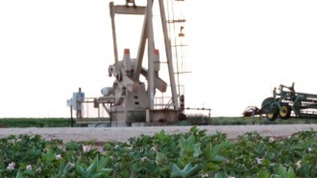 <p>
	<em>Снимка: Архив на Ройтерс</em></p>
