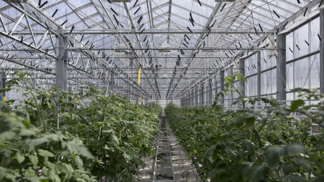 Снимка: Bloomberg