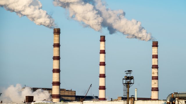 Снимка: unsplash.com