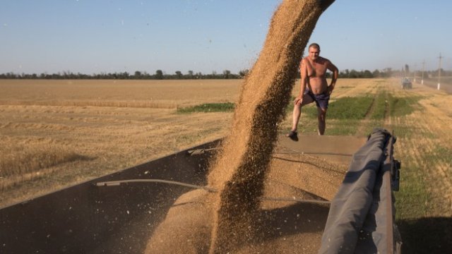 <p>
	<em>Снимка: Bloomberg L.P.</em></p>
