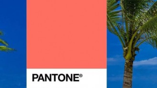 <p>
	<em>Снимка: Pantone, Facebook</em></p>

