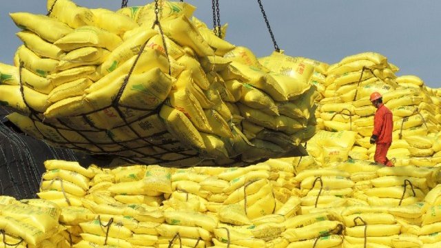 <p>
	<em>Снимка: архив Ройтерс</em></p>
