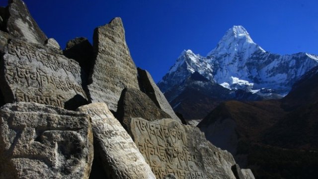 <p>
	<em>Снимка: pixabay.com</em></p>
