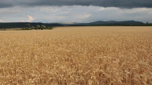 <p>
	<em>Снимка: БТА</em></p>
