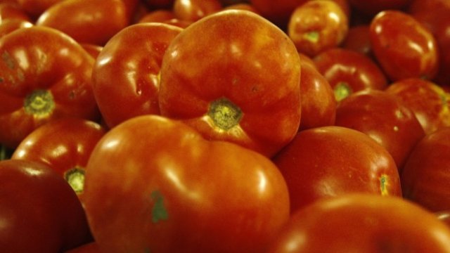 <p>
	Снимка: <em>Архив Ройтерс</em></p>
