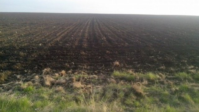 <p>
	<em>Снимка: Investor.bg</em></p>
