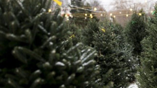 <p>
	<em>Снимка: Maddie McGarvey/Bloomberg</em></p>
