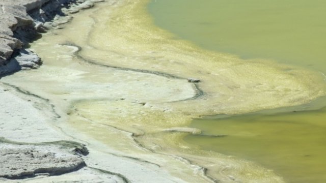 <p>
	<em>Снимка: Bloomberg L.P.</em></p>
