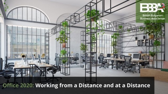 <p>
	<em>Снимка: БББА</em></p>
