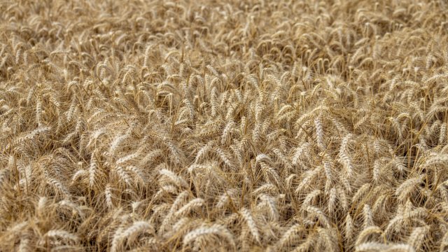 Снимка: Bloomberg