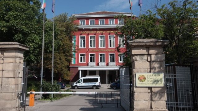 <p>
	<em>Снимка: Димитър Кьосемарлиев, Investor Media Group</em></p>
