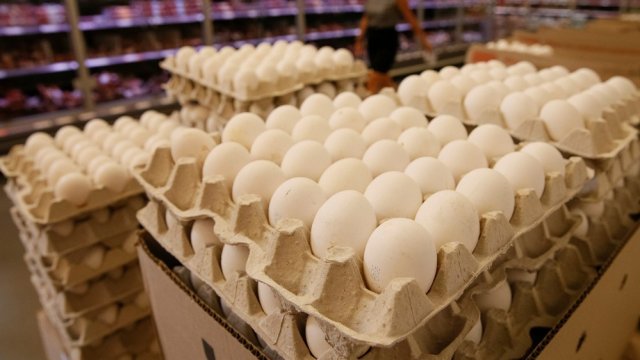 Снимка: Архив Ройтерс