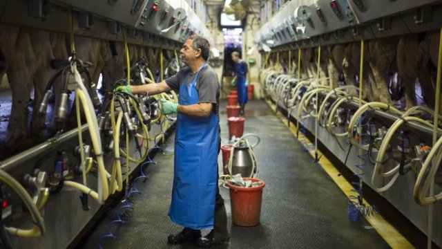 <p>
	<em>Снимка: Ройтерс</em></p>
