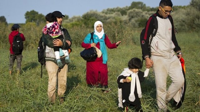 <p>
	Бежанци прекосяват унгарската граница. <em>Снимка: БТА/АП</em></p>
