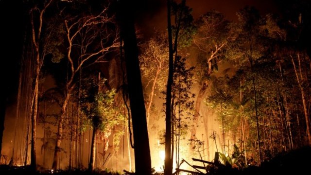 <p>
	<em>Снимка: Ройтерс</em></p>
