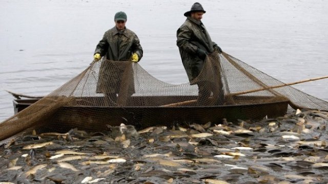 <p>
	<em>Снимка: Архив Ройтерс</em></p>
