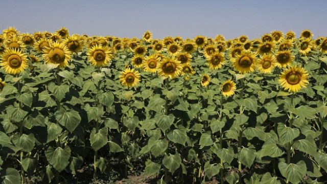 <p>
	<em>Снимка: Tom Stoddart/Getty Images</em></p>
