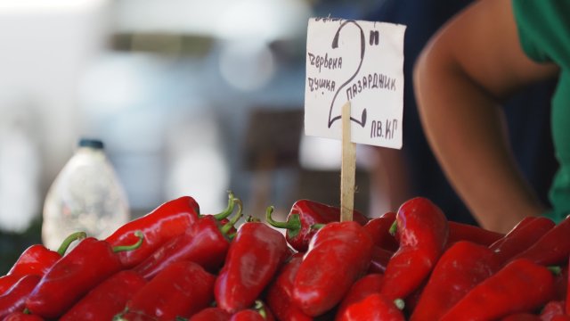 Снимка: Стефан Василев, БГНЕС