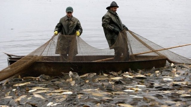 <p>
	<em>Снимка: Архив Ройтерс</em></p>
