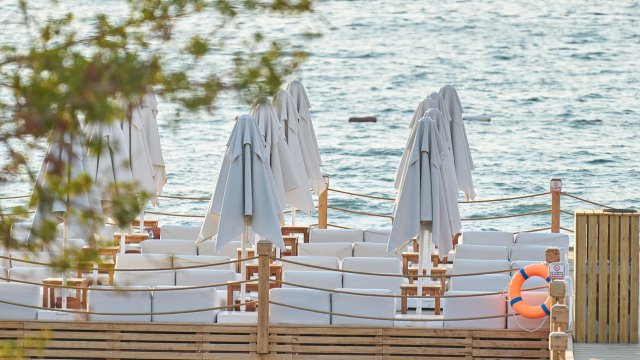 Снимка: Pixabay