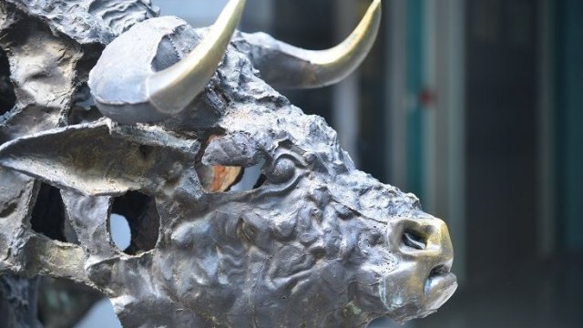 Снимка: БФБ АД