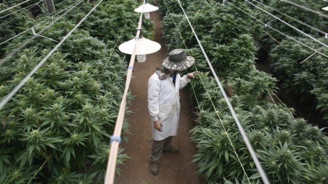 <p>
	<em>Снимка: Архив Ройтерс</em></p>
