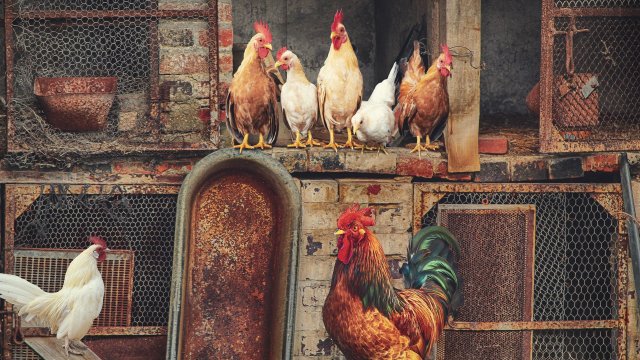 Снимка: Pixabay