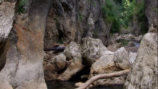 <p>
	Ждрелото на река Ерма. <em>Снимка: община Трън</em></p>
