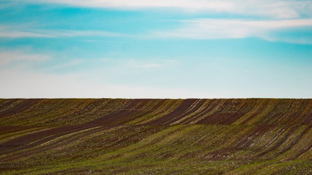 Снимка: Pixabay