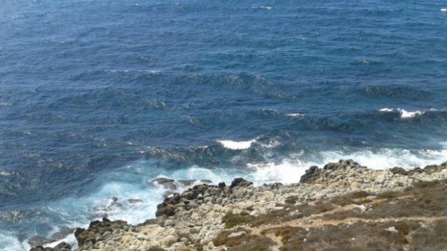 <p>
	<em>Снимка: Investor.bg</em></p>
