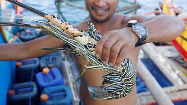 <p>
	<em>Снимка: архив Ройтерс</em></p>
