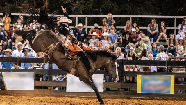 Снимка: Pixabay