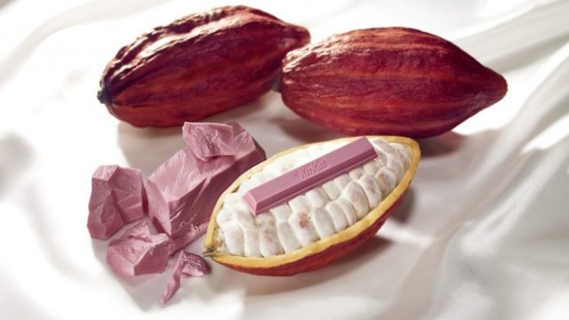 <p>
	<em>Снимка: barry-callebaut.com</em></p>
