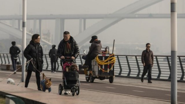 <p>
	<em>Снимка:&nbsp;Qilai Shen, Bloomberg</em></p>
