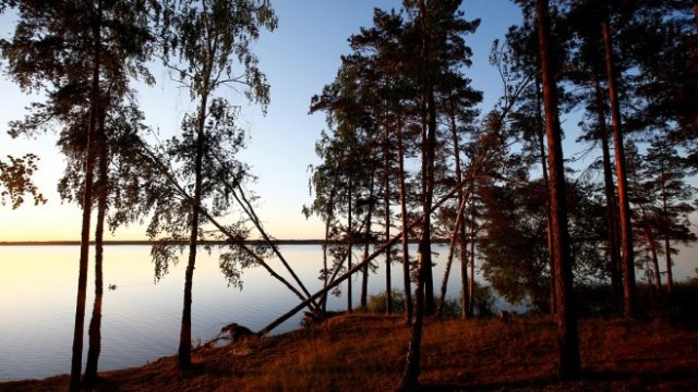 <p>
	<em>Снимка: Архив Ройтерс</em></p>
