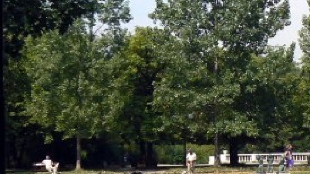 <p>
	<em>Снимка: Wikipedia.org</em></p>
