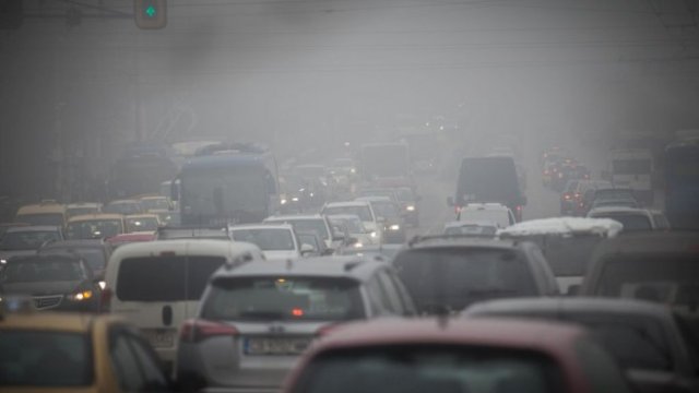 <p>
	<em>Снимка: Димитър Кьосемарлиев, Investor Media Group</em></p>
