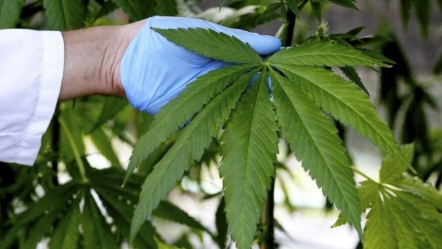 <p>
	<em>Снимка: Архив Ройтерс</em></p>
<p>
	&nbsp;</p>
