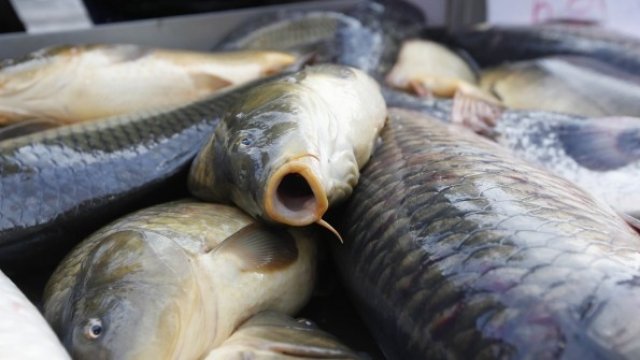 <p>
	<em>Снимка: Олег Попов, Investor Media Group</em></p>
