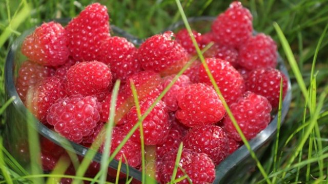 <p>
	<em>Снимка: Pixabay</em></p>
