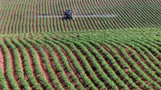 <p>
	<em>Снимка: Архив Ройтерс</em></p>
