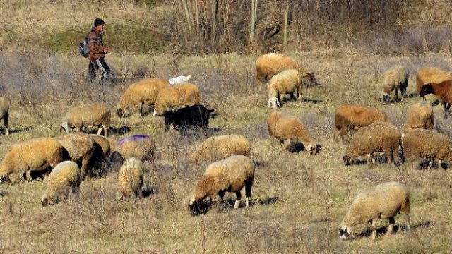 <p>
	<em>Снимка: БТА</em></p>
