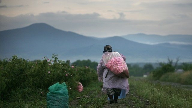 <p>
	<em>Снимка: Архив Ройтерс</em></p>
