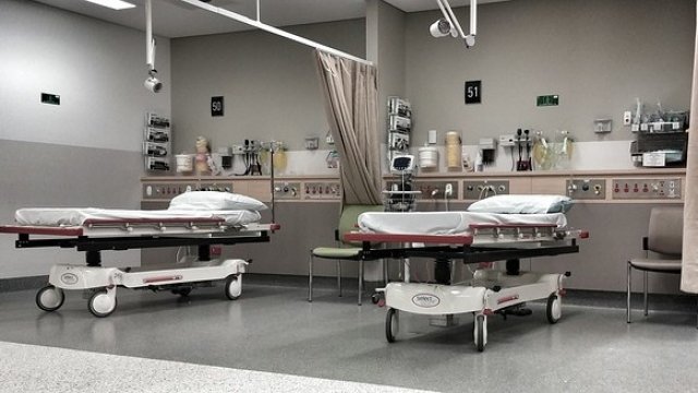 <p>
	<em>Снимка: Pixabay</em></p>
