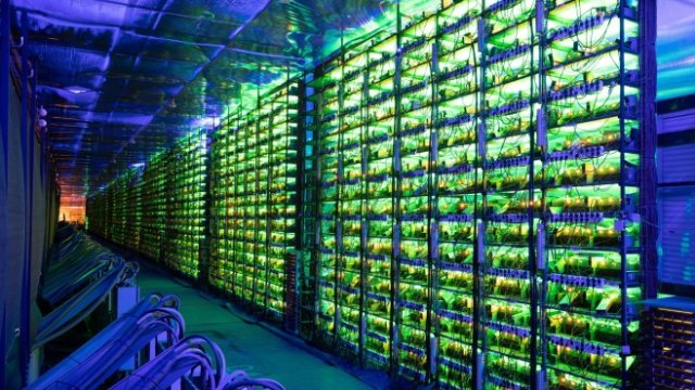 <p>
	Руска крипто ферма. <em>Снимка: Andrey Rudakov/Bloomberg</em></p>
