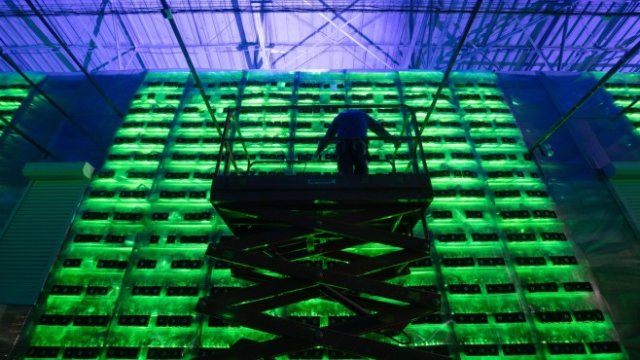 <p>
	<em>Снимка: Bloomberg LP</em></p>
