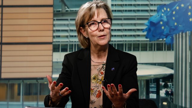 Еврокомисарят по финансовите услуги Мария Луис Албукерке. Снимка: Bloomberg